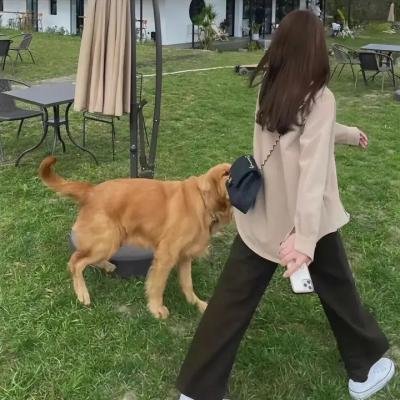 糖耳朵